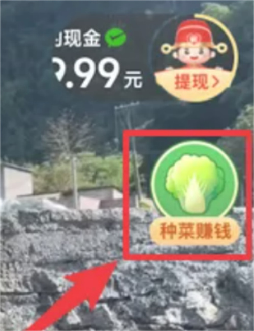 多多果园种菜赚的钱提现到微信的方法-如何将多多果园种菜赚的钱提现到微信