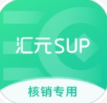 汇元核销app