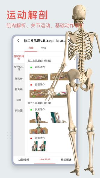 3dbodyͼ v8.8.20׿ٷ3