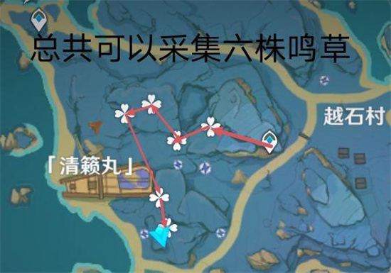 原神鸣草采集路线分享-原神鸣草采集路线攻略分享