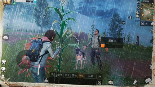 手游画面最好的游戏求推荐有哪些推荐-2023画面最好的游戏榜单top10