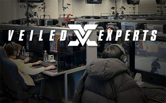 《幕后高手 VEILED EXPERTS》多元素融合