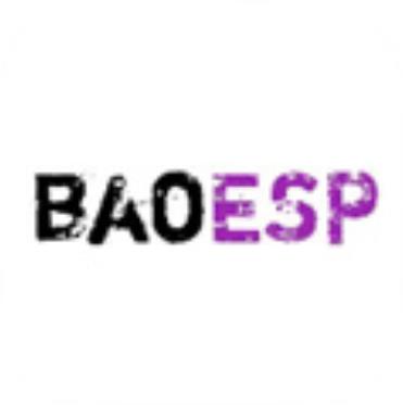 baoESP2.1.6