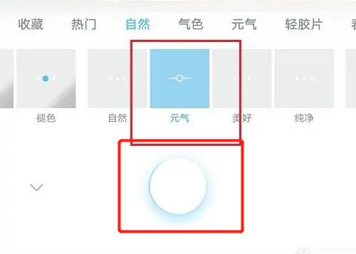水柚相机添加滤镜的方法步骤-水柚相机如何添加滤镜