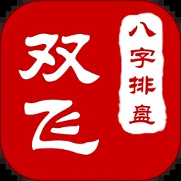 双飞八字排盘