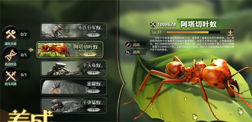 和抓蝴蝶差不多的游戏有哪些-流行的抓蝴蝶游戏盘点2023