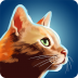 猫咪跑酷 v1.0