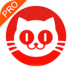 猫眼专业版苹果版 v7.0.0