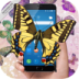 蝴蝶恶作剧手机版 v1.6.0