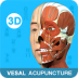 中医经络腧穴 v1.0.2