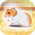 治愈系仓鼠养成游戏 v2.1