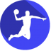 篮球经理2018破解版(basket manager 2018) v3.7