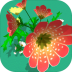 AR花儿(AR Flower) v1.0