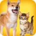 人狗猫交流器免费版 v1.6