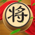 天梨中国象棋软件 v1.00