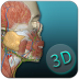 人体解剖学图集3d彩图(人体解剖学图谱) v3.15.2