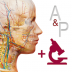 anatomy and physiology中文版软件 v6.2.00