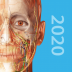 atlas解剖正版 v2020.0.73
