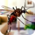 蚊子家庭生活模拟器3D v1.0.0