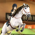马术传说(Horse Riding Tales) v29.0