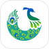 兰孔雀(海外免税代购网) v1.5