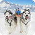狗狗雪橇竞速 v1.2