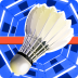 羽毛球无限金币钻石 v1.0.2