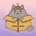 抓住流浪猫手机版 v0.2