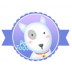 芯同宠物 v1.0.0