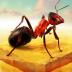 little ant colony最新版 v1.7
