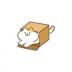 猫咪纸箱 v1.0.4