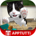 猫咪模拟大作战 v3.5.0