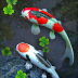 3d鱼池动态壁纸 v1.76