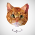 旋转猫咪拼图 v6.0
