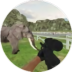 抓个小动物官方版 v1.0