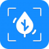 ai识物拍照识花app v1.1