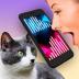 猫翻译模拟器app免费版 v1.3.3
