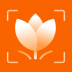万能识物识别 v2.0.0