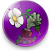 植物大战僵尸联想乐Pad中英文高清版 v1.0.0