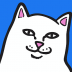 RIPNDIP官方应用(贱猫潮牌) v4.0