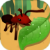蚂蚁进化3d手游 v1.4