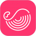 灰豚数据抖音版 v3.0.3