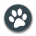 兽音译者在线翻译 v1.5