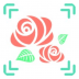 全能拍照识图手机版 v1.1