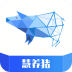 慧养猪app新希望 v2.0.50.0803