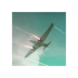 天空猎犬最新版(Sky Hounds) v1.0