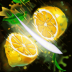 梦幻切水果小游戏 v1.4