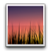 Live Wallpaper Picker.apk(原生提取) v4.1.2