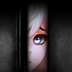 庇护游戏 v1.1.2