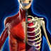 3D人体解剖学图谱ios免费版 v1.1.1